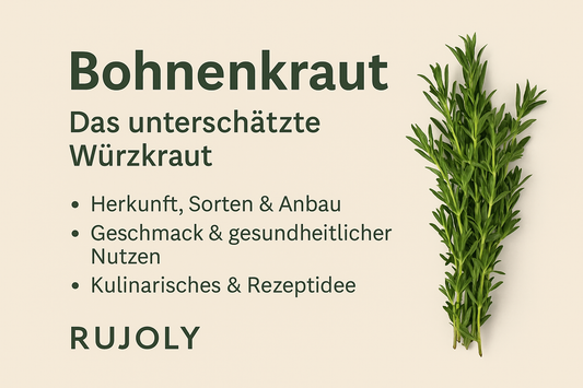 Frisches Sommer-Bohnenkraut (Satureja hortensis) mit zarten, grünen Blättern im Sonnenlicht – aromatisches Würzkraut für Garten und Küche