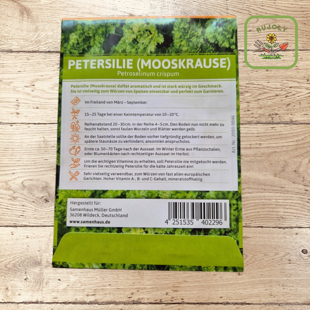 Petersilie Mooskrause mit krausen, grünen Blättern im Gartenbeet – aromatisch und vitaminreiches Würzkraut für die Küche