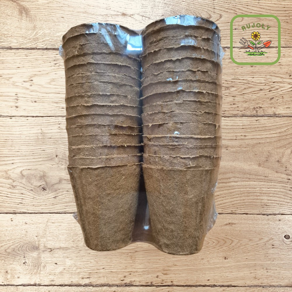 Nachhaltiger Anzuchttopf aus Holzfaser mit gesunder Jungpflanze – biologisch abbaubar und plastikfrei