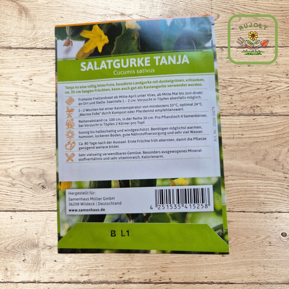 Jungpflanzen von Cucumis sativus ‘Tanja’ im Hochbeet