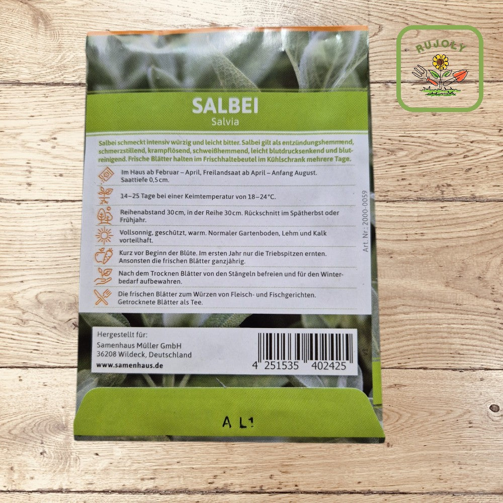 Salbei – Würziges Kräuterkraut (Salvia, 60 Korn) für Garten und Küche