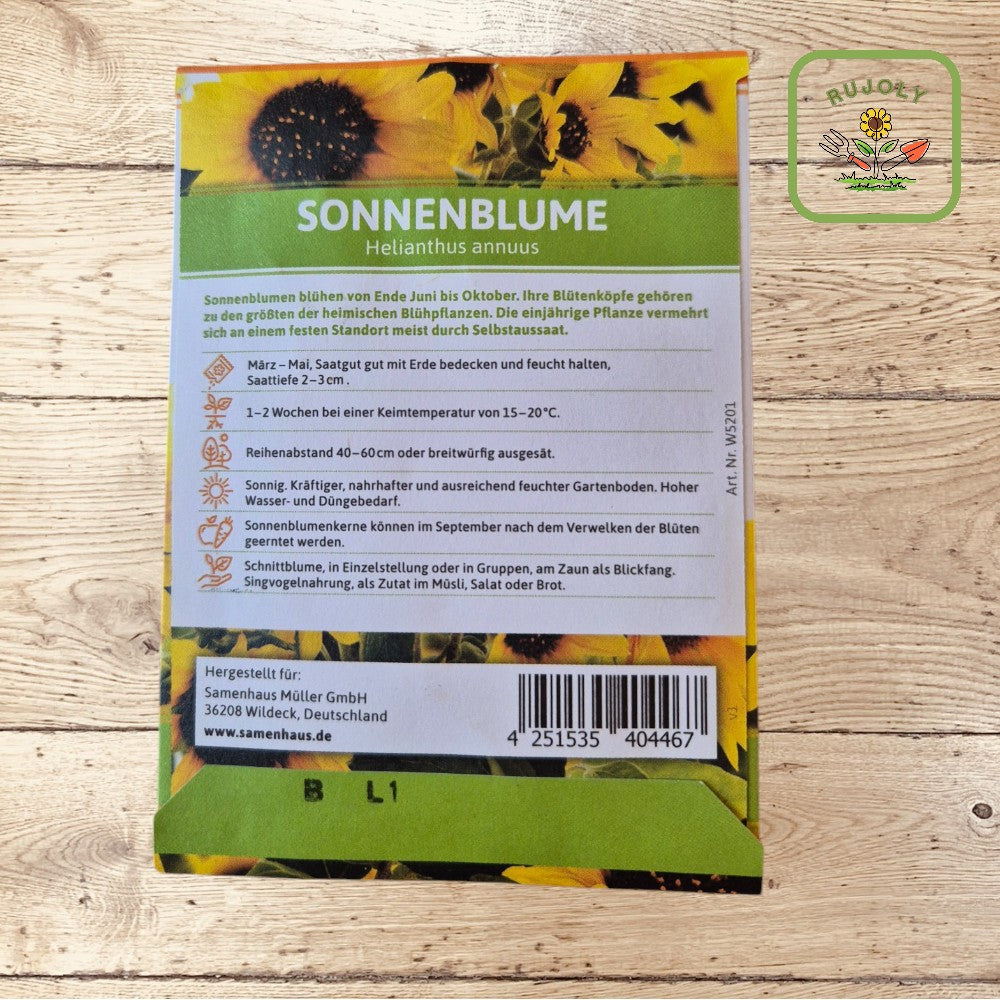 Sonnenblume – Leuchtend gelbe Sommerblume (Helianthus annuus, 8 Korn) für Garten und Balkon
