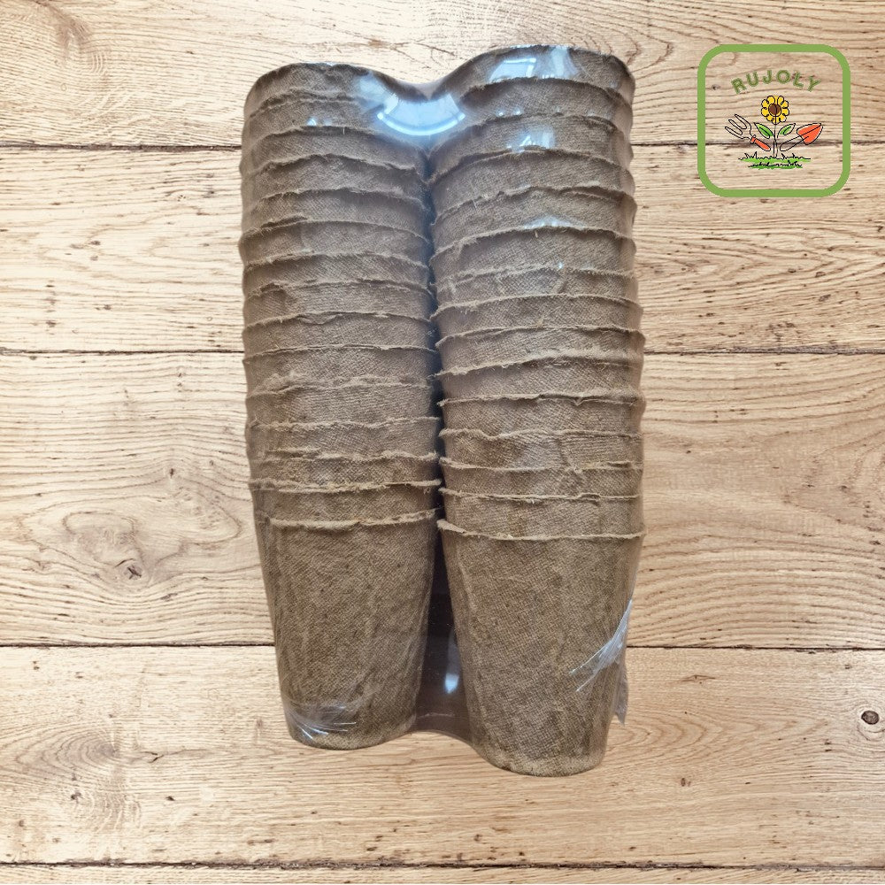 Nachhaltige 6 cm Anzuchttöpfe aus Holzfaser mit Setzlingen – ideal für Gemüse und Kräuter