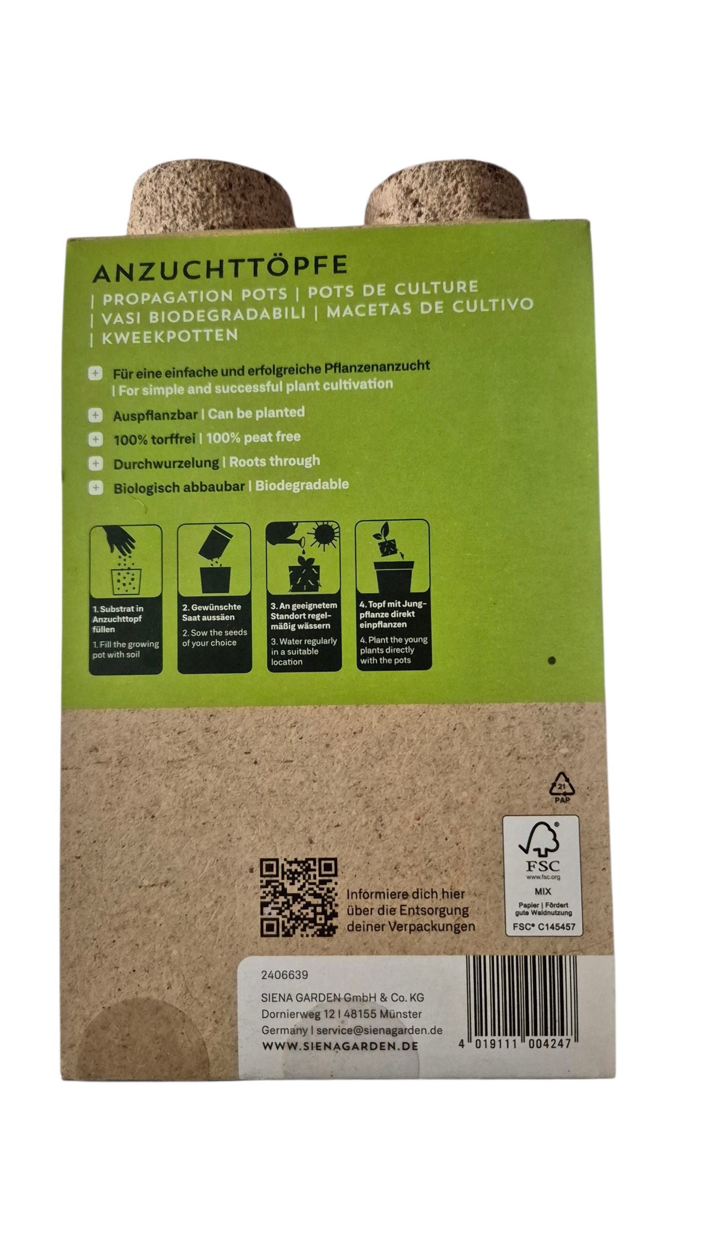 Sämlinge in runden 6-cm-Anzuchttöpfen – gleichmäßige Durchwurzelung