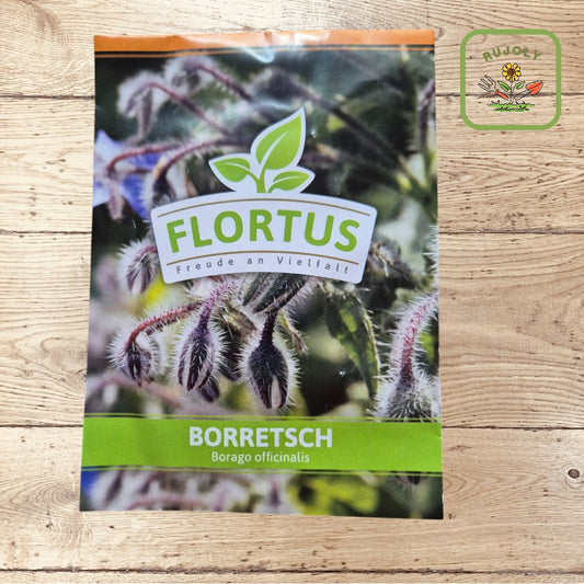 Borretsch – Gurkenähnliches Küchenkraut (Borago officinalis, 30 Korn) für Garten und Küche