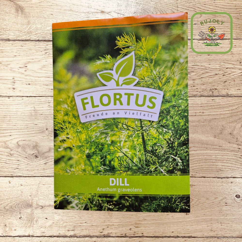 Dill – Aromatisches Gewürzkraut (Anethum Graveolens) für Garten und Küche