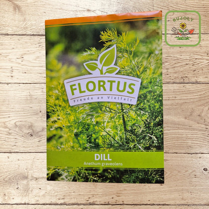 Dill – Aromatisches Gewürzkraut (Anethum Graveolens) für Garten und Küche