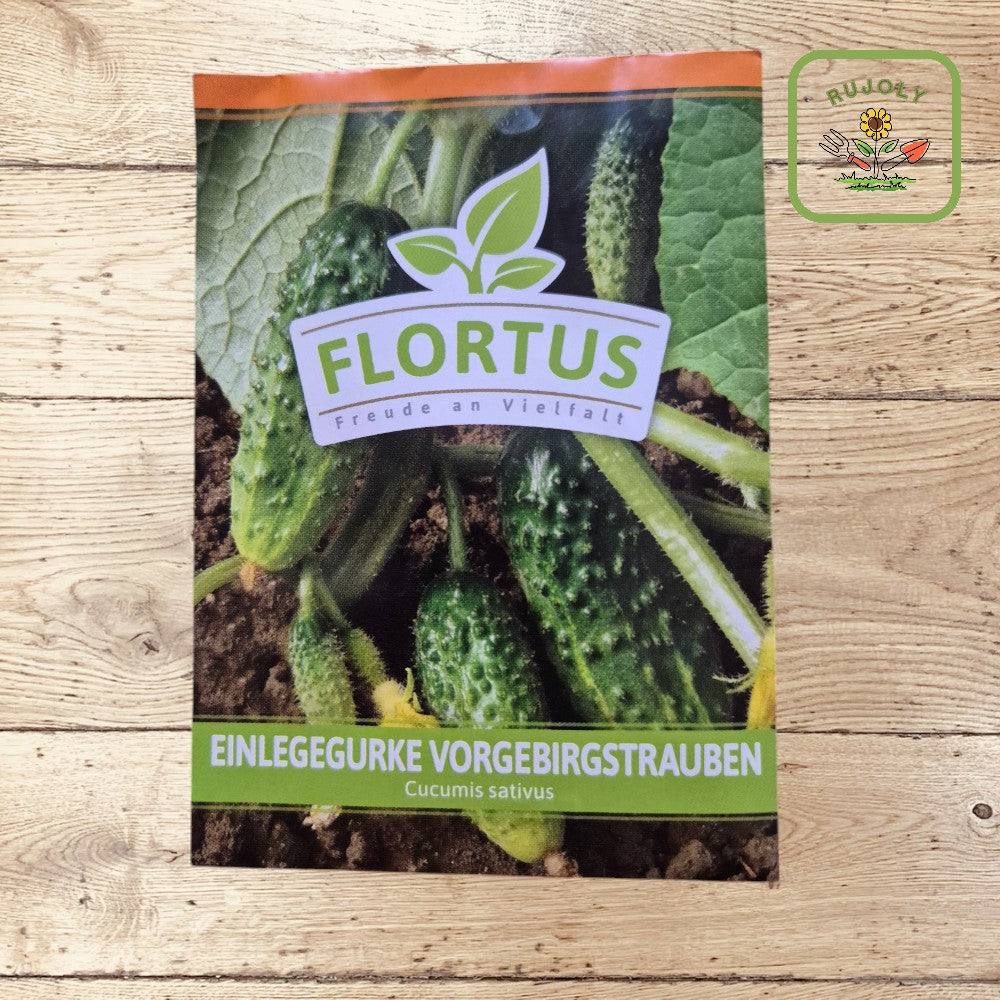 Einlegegurke Vorgebirgstrauben – Robuste und ertragreiche selbstfruchtende Gurkensorte (100 Korn) für Garten und Küche