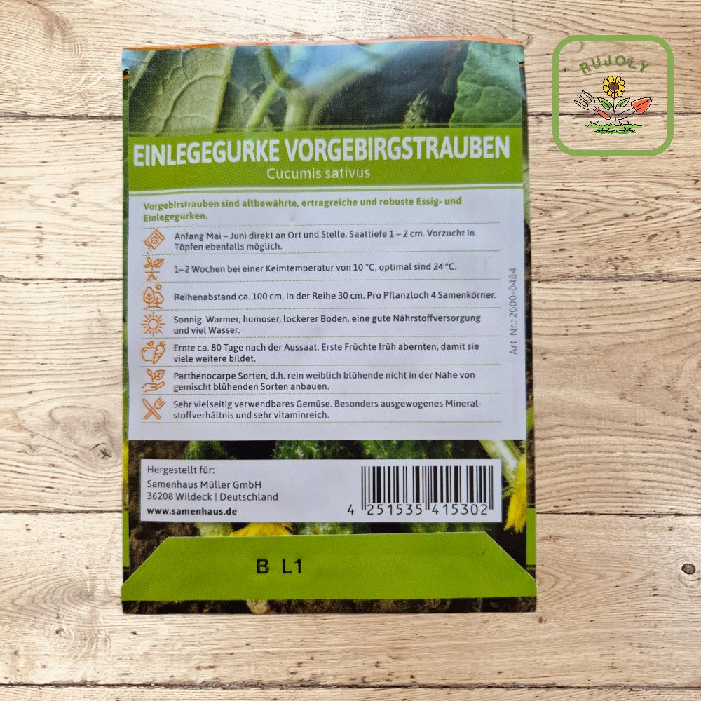 Einlegegurke Vorgebirgstrauben – Robuste und ertragreiche selbstfruchtende Gurkensorte (100 Korn) für Garten und Küche