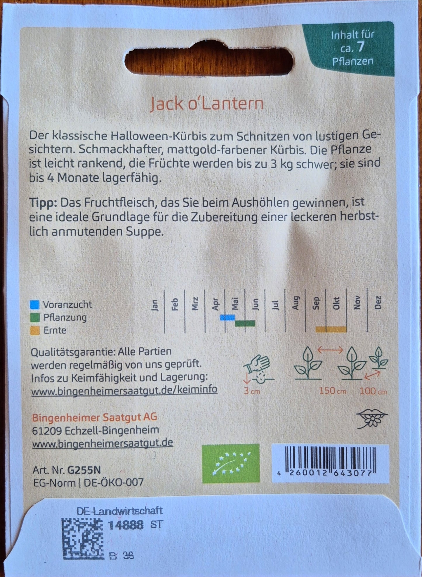 Aussaat Jack o’Lantern: Saattiefe 2–3 cm, Keimtemperatur 22 °C
