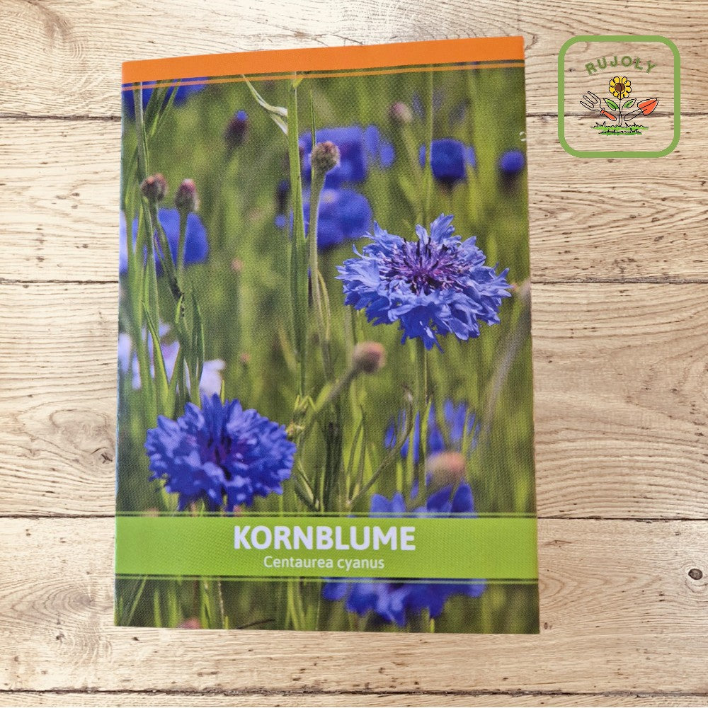 Kornblume – Leuchtend blaue Sommerblume (Centaurea cyanus, 30 Korn) für Garten und Natur