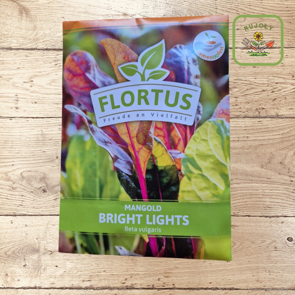 Mangold Bright Lights – Farbenfrohes Gemüse mit leuchtenden Stielen (100 Korn) für Garten und Küche