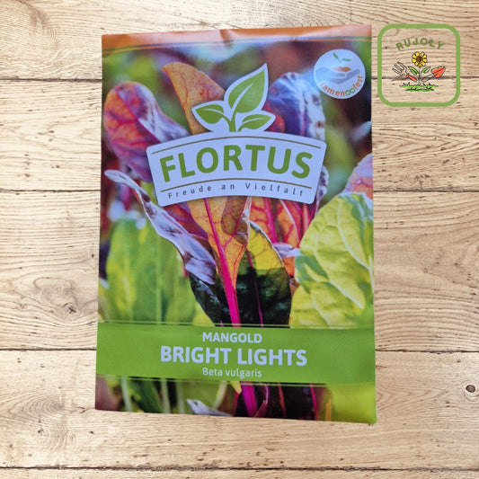 Mangold Bright Lights – Farbenfrohes Gemüse mit leuchtenden Stielen (100 Korn) für Garten und Küche