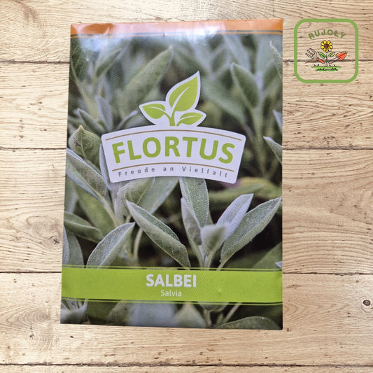 Salbei – Würziges Kräuterkraut (Salvia, 60 Korn) für Garten und Küche