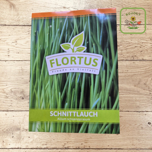 Schnittlauch-Samen kaufen  350 Korn würziges Würzgemüse für Garten & Küche  RUJOLY.de