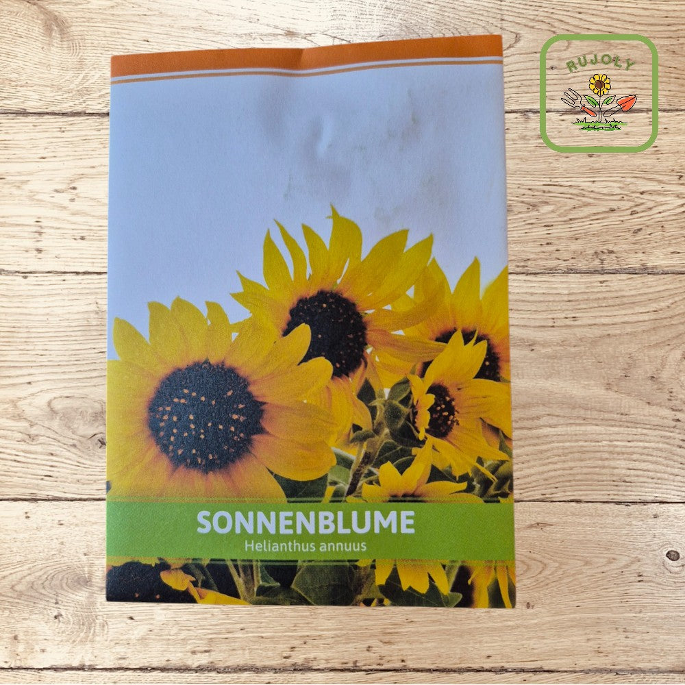 Sonnenblume – Leuchtend gelbe Sommerblume (Helianthus annuus, 8 Korn) für Garten und Balkon