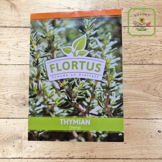 Thymian – Aromatisches Würzkraut (150 Korn) für Garten und Küche