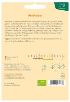Aussaatkalender für die Zuckererbse Ambrosia zur einfachen Anbauplanung im Freiland