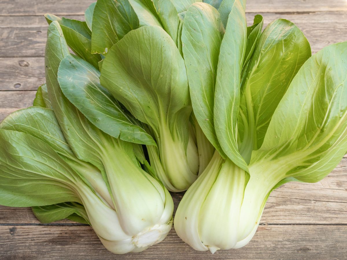 Frischer Pak Choi 'Yorokobi' – Drei frisch geerntete Pak Choi auf einem Holztisch, mit kräftig grünen Blättern und breiten, weißen Blattrippen.