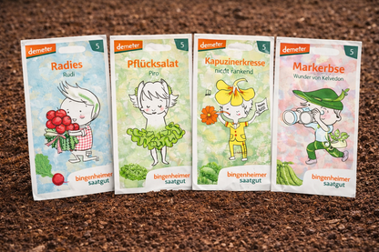 Kinder Garten Set 4 Sorten für kleine Gärtner