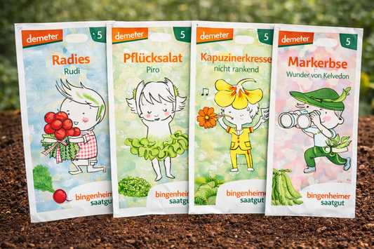 Kinder Garten Set 4 Sorten für kleine Gärtner