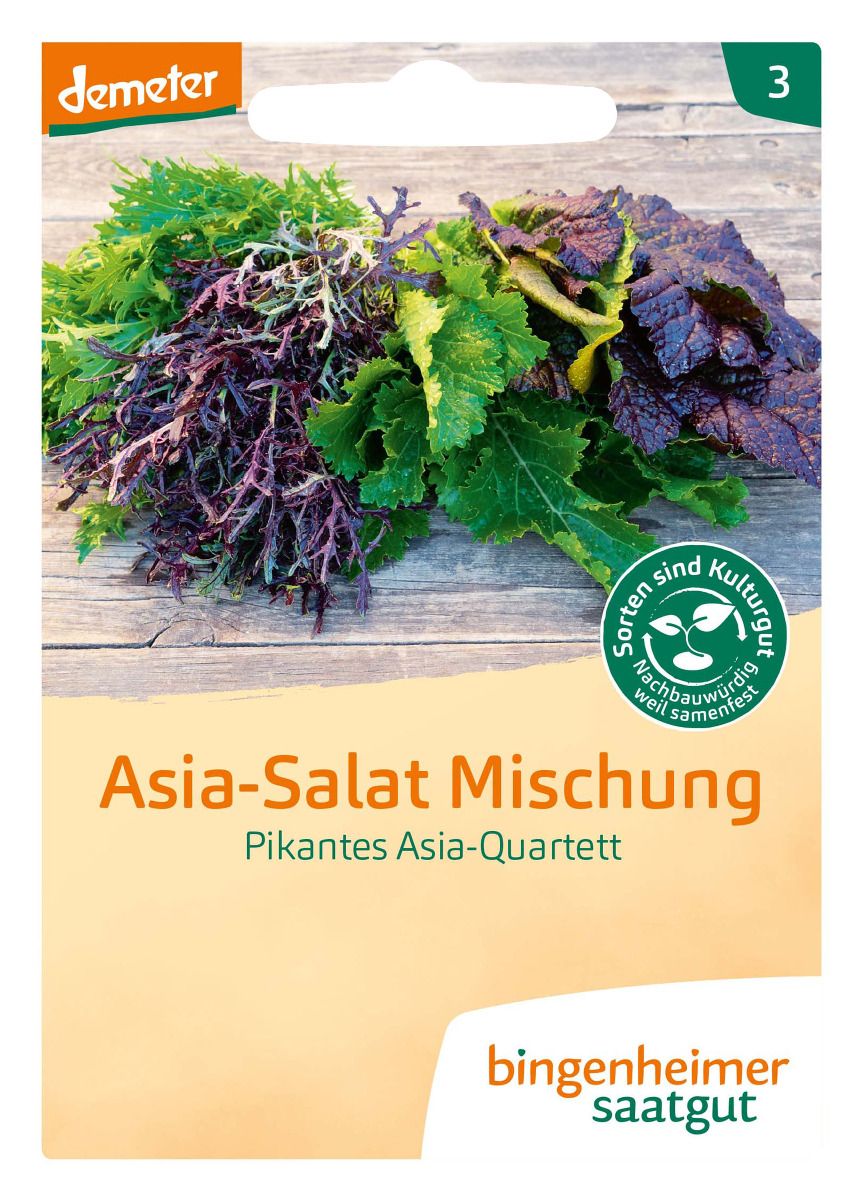 Asia-Salat-Mischung Pikantes Asia-Quartett – demeter Saatgut, Vorderseite mit bunten Blättern