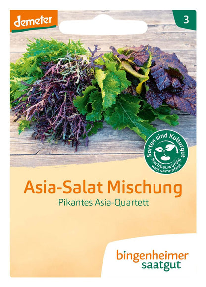 Asia-Salat-Mischung Pikantes Asia-Quartett – demeter Saatgut, Vorderseite mit bunten Blättern