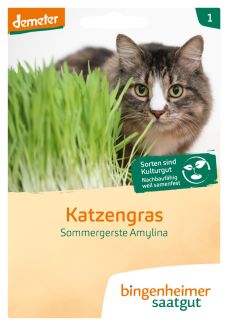 Saatguttüte Bio Katzengras von Bingenheimer Saatgut mit Katze und grünem Gerstengras