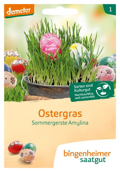 Saatguttüte Bio Ostergras Sommergerste Amylina von Bingenheimer Saatgut mit grünem Ostergras und Ostereiern