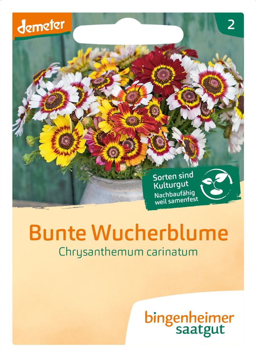 Bunte Wucherblume Bio-Saatgut von Bingenheimer Saatgut in der Originalverpackung