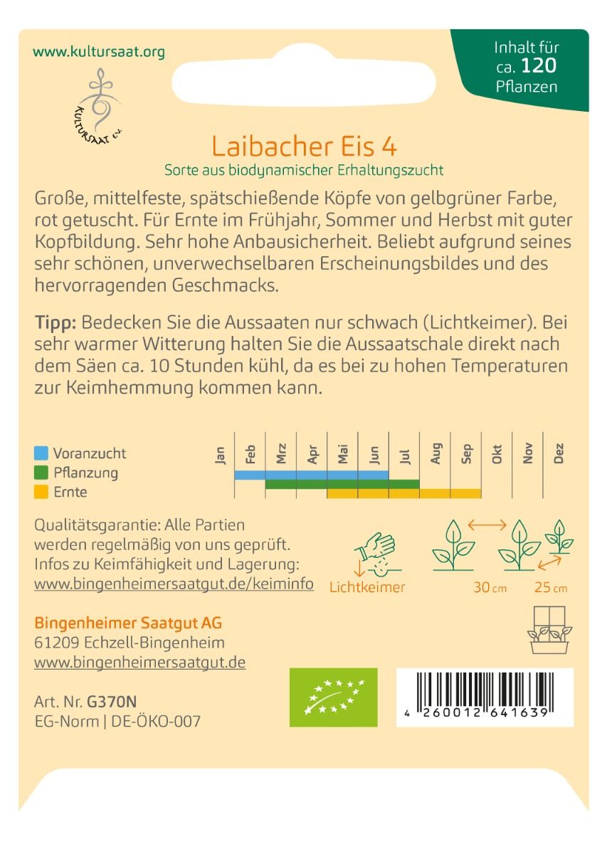Rückseite Saatgutpackung ‘Laibacher Eis 4’ – Vorkultur, Pflanzabstände 30×30 cm, Erntezeitraum Juni–Septembe