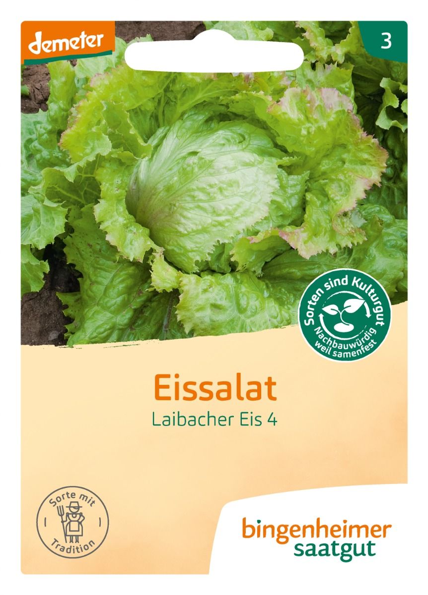 Eissalat ‘Laibacher Eis 4’ – demeter Saatgut, Vorderseite der Packung mit großem Kopf