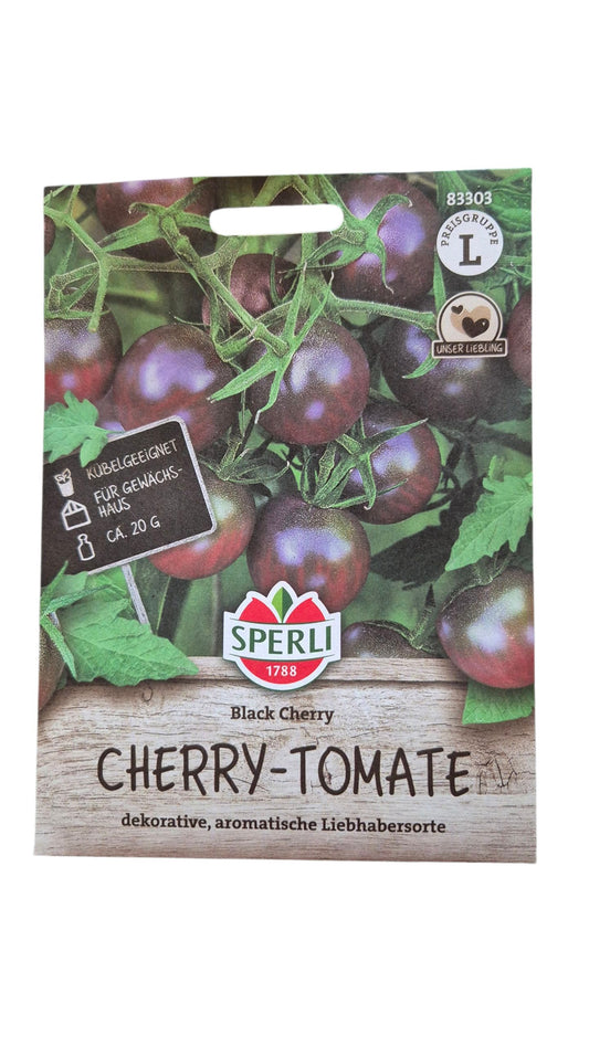 Kirschtomate Black Cherry – schwarzviolett reifende Früchte an der Rispe