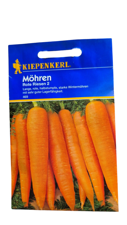 Möhre ‘Ohne Herz 2’ – lange halbstumpfe Karotten (Daucus carota) mit Laub