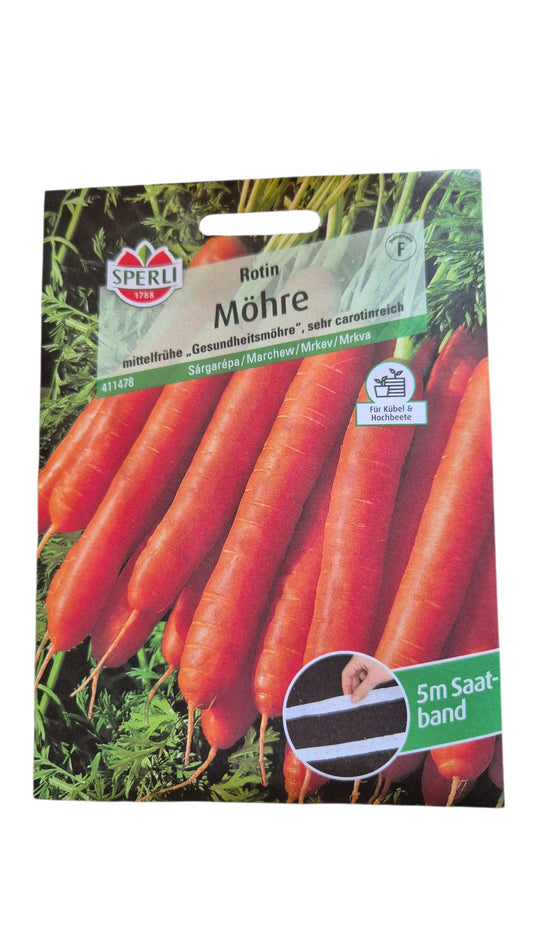 Möhre ‘Rotin’ – lange orange Karotten (Daucus carota) auf Saatband, Laub sichtbar