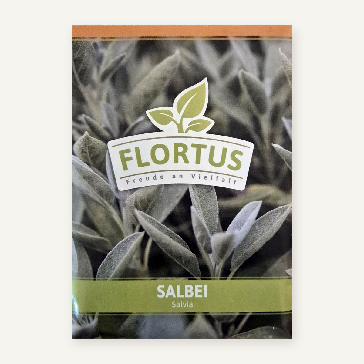 FLORTUS Saatguttüte Salbei (Salvia) mit Foto graugrüner, leicht behaarter Salbeiblätter und FLORTUS-Logo