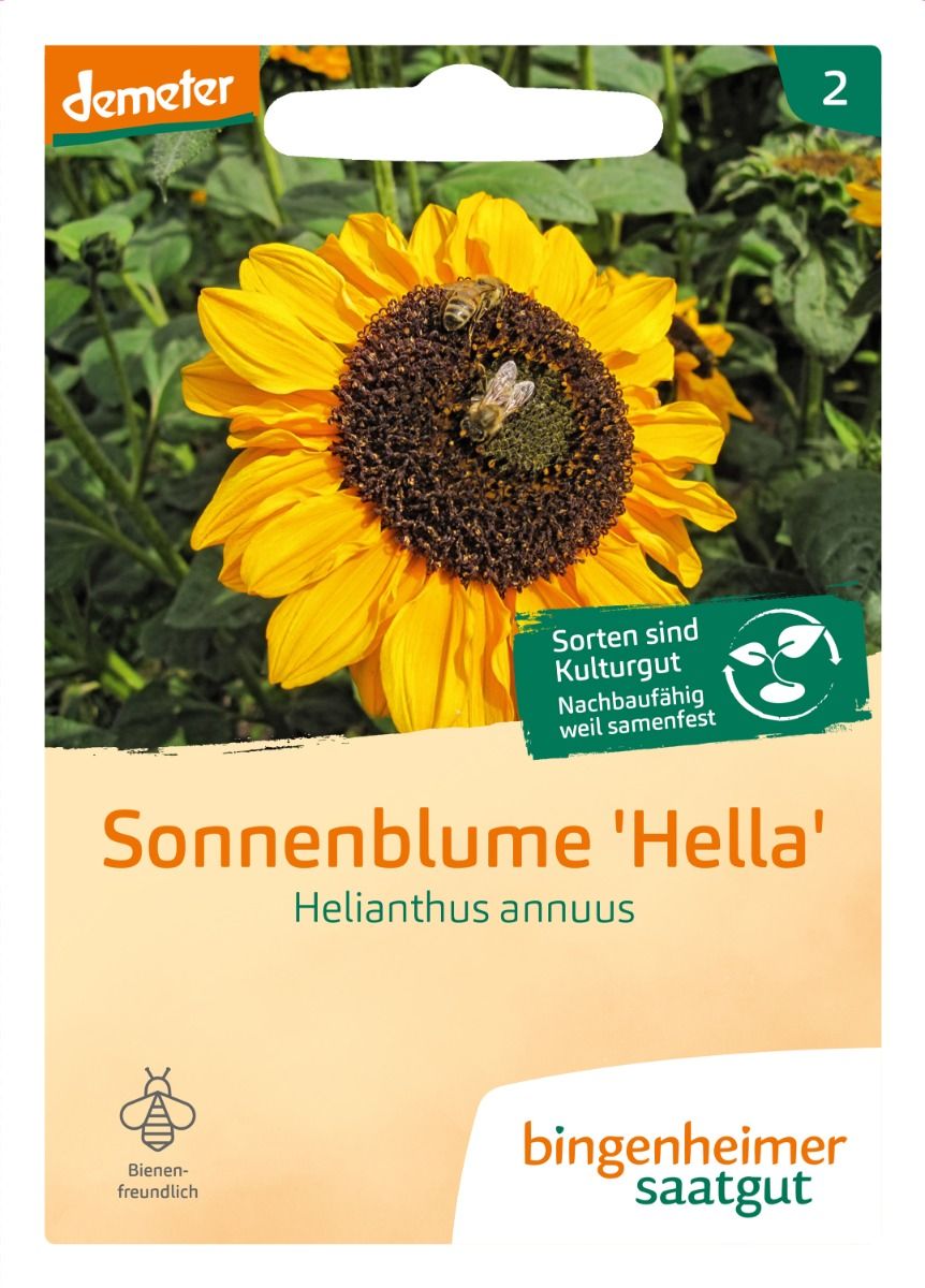 Bio Sonnenblume Hella von Bingenheimer Saatgut in der Originalverpackung