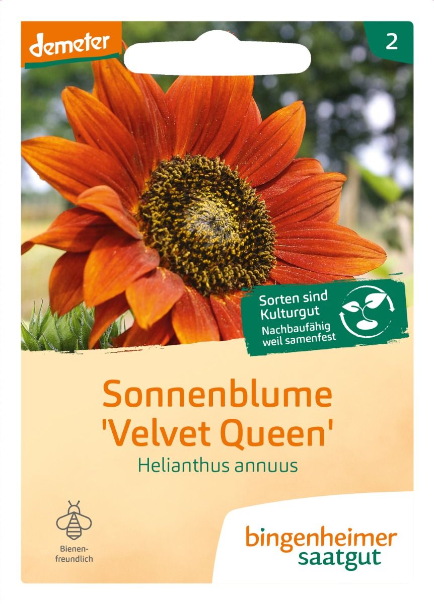 Bio Sonnenblume Velvet Queen von Bingenheimer Saatgut in der Originalverpackung