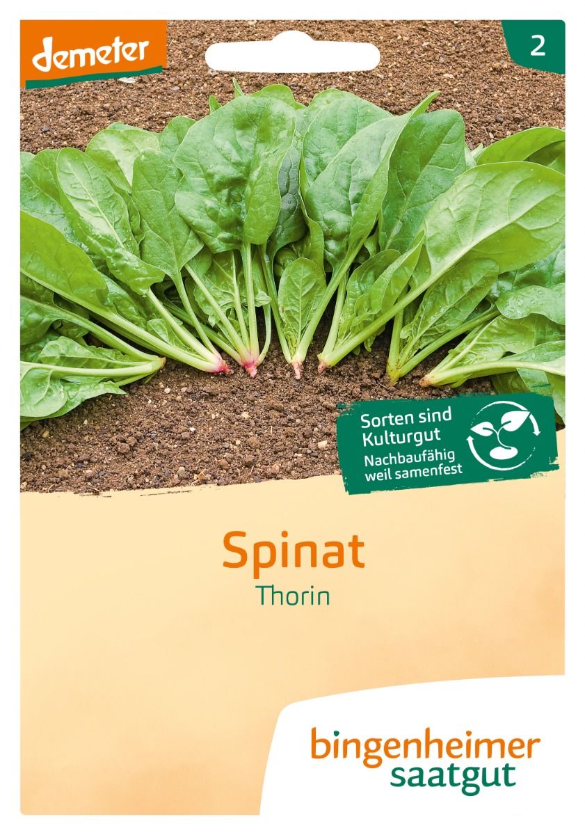Saatguttüte Bio-Spinat Thorin von Bingenheimer Saatgut mit grünen Spinatpflanzen