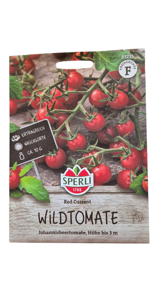 Wildtomate Red Currant – unzählige kleine rote Früchte an langen Trieben