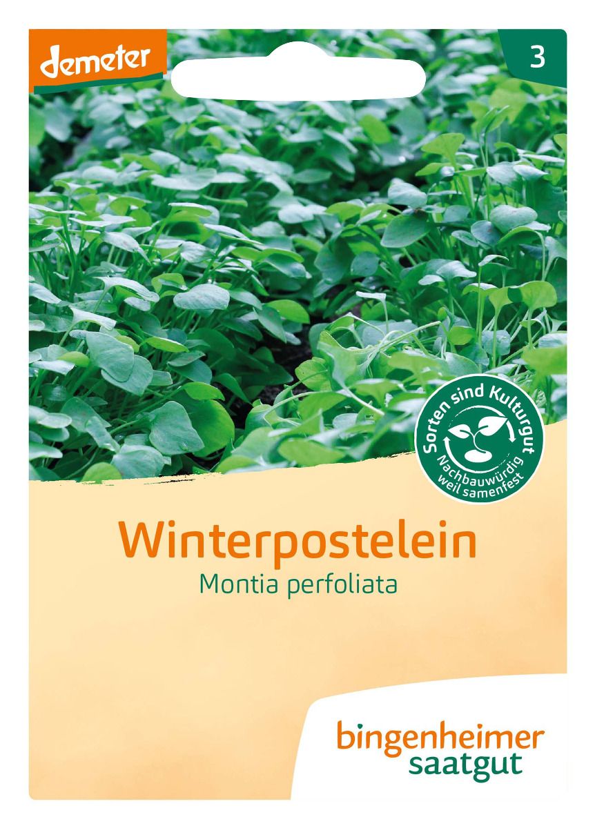 Winterpostelein (Montia perfoliata) – demeter Saatgut, Vorderseite der Packung mit dichtem Bestand